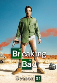Breaking Bad saison 1 episode 2 en Streaming