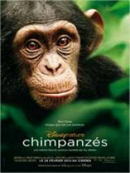Chimpanzés Streaming VF Français Complet Gratuit