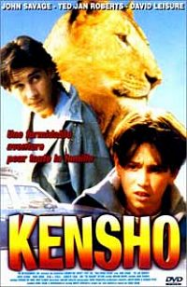 Kensho Streaming VF Français Complet Gratuit