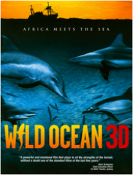 Océan Sauvage : Sardines mania (Imax Wild Ocean 3D)