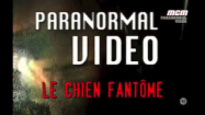 Paranormal video – Le chien fantôme