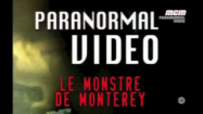 Paranormal video – Le monstre de Monterey