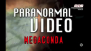 Paranormal video – Megaconda