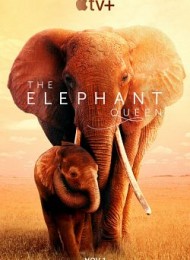 The Elephant Queen Streaming VF Français Complet Gratuit