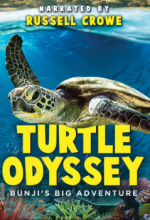 Turtle Odyssey Streaming VF Français Complet Gratuit