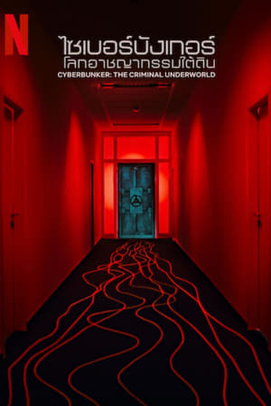 Cyberbunker: Darknet in Deutschland Streaming VF Français Complet Gratuit
